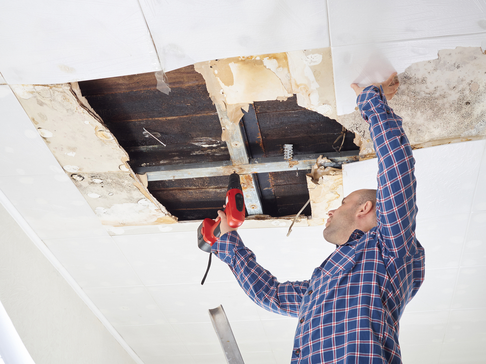 Most Frequent Summer Restoration Services in Virginia Beach, VA